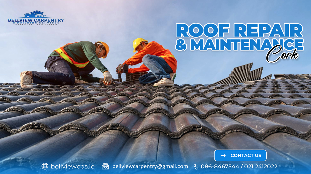 Roof repair and maintenance